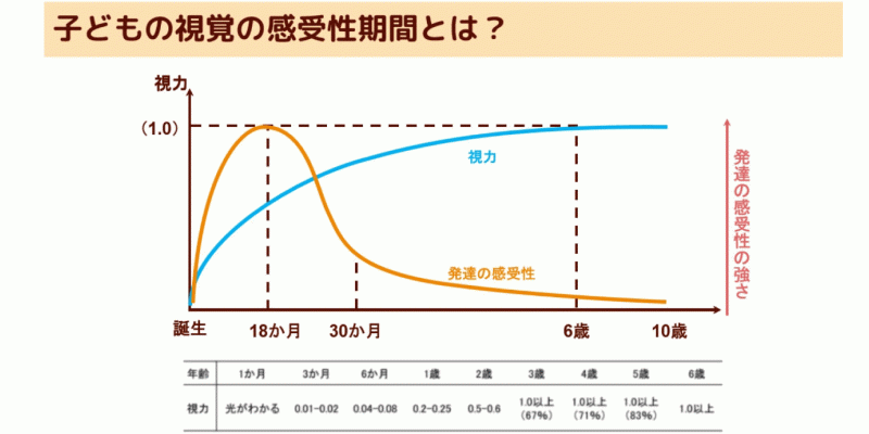 子どもの視覚の感受性期間とは？