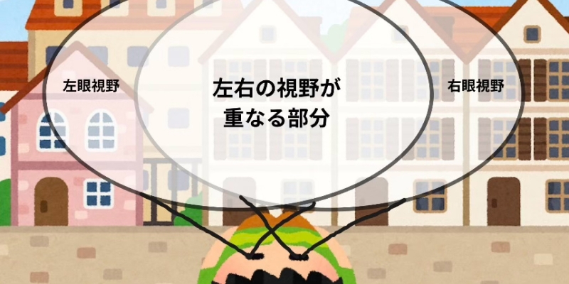 加齢による眼の変化と緑内障