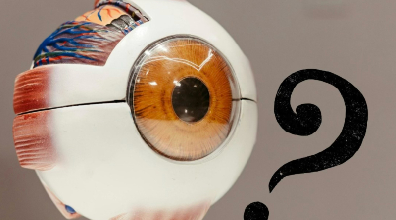 視能訓練士がお伝えする 〜知っているようで知らない目の話5選〜