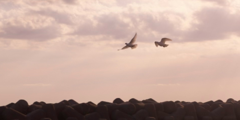 5つの質問で始める“自分を見つめるノート”